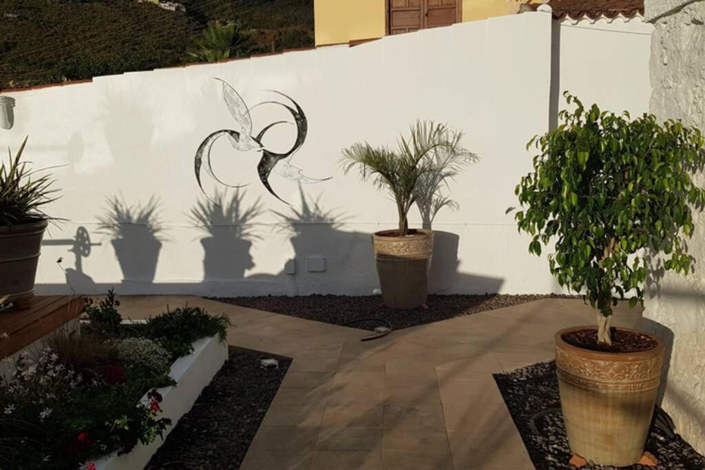 Casa Vina: A Spectacular Away From It All Holiday La Orotava Ngoại thất bức ảnh