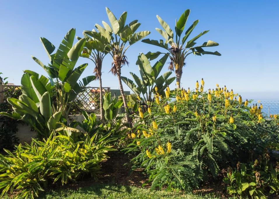 Casa Vina: A Spectacular Away From It All Holiday La Orotava Ngoại thất bức ảnh